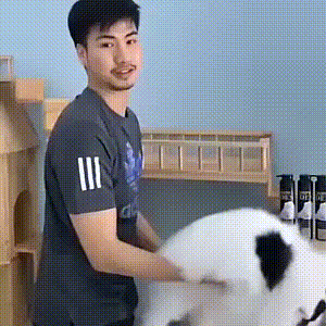 Acid Gifdump, September 21, 2018 (25 gifs)
