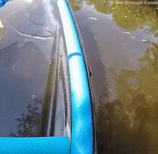 Acid Gifdump, September 21, 2018 (25 gifs)
