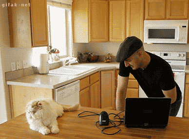Acid Gifdump, September 21, 2018 (25 gifs)