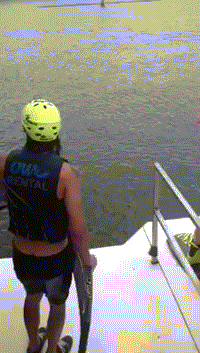 Acid Gifdump, September 21, 2018 (25 gifs)