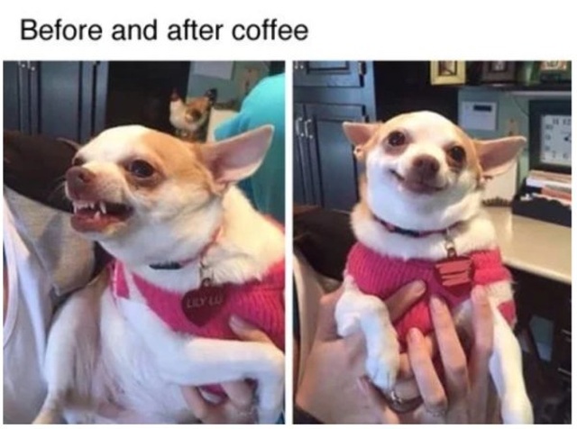 Coffee Memes (25 pics)
