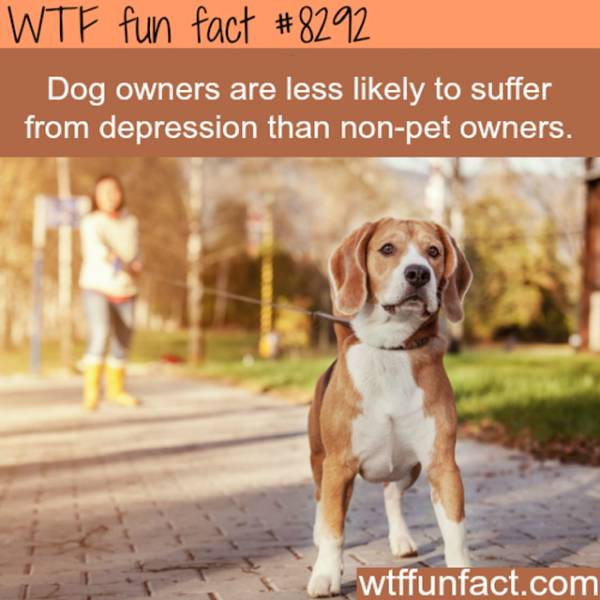 Interesting Facts (25 pics)