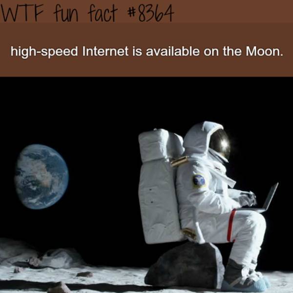 Interesting Facts (25 pics)