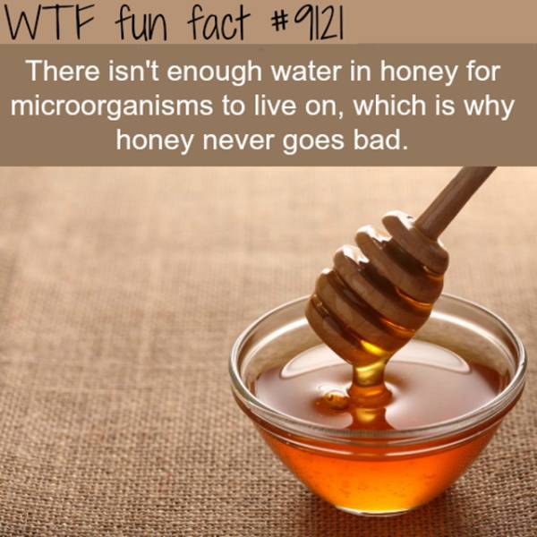 Interesting Facts (25 pics)
