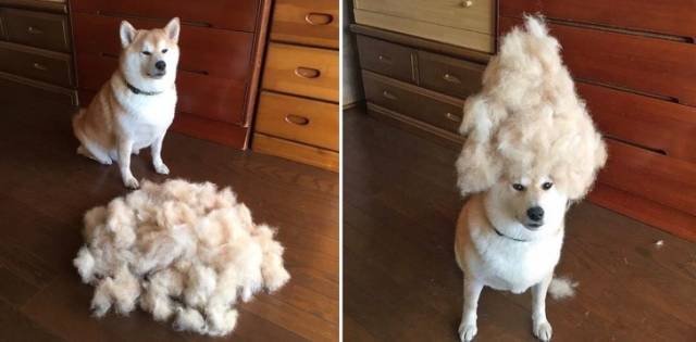 WTF Photos (37 pics)