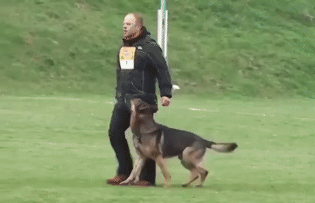Acid Gifdump, September 24, 2018 (25 gifs)