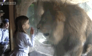 Acid Gifdump, September 24, 2018 (25 gifs)
