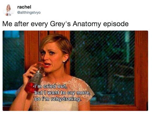 "Grey's Anatomy" Jokes (42 pics)