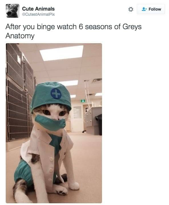 "Grey's Anatomy" Jokes (42 pics)