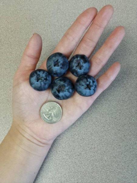 So Lucky (19 pics)