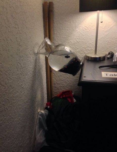 So Lucky (19 pics)