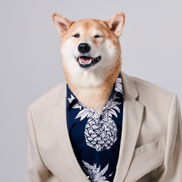 The Most Stylish Dog In The World (20 pics)