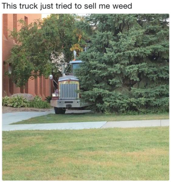 The Pinnacle Of Tweetsmanship (27 pics)