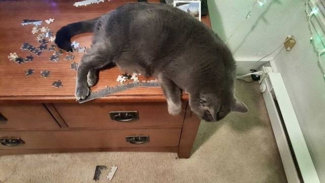 Acid Picdump (91 pics)