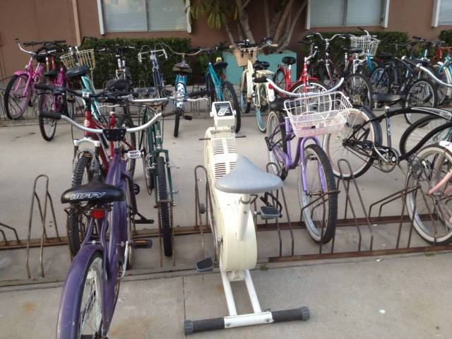 Acid Picdump (91 pics)