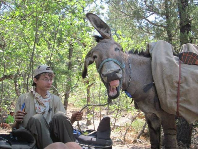Acid Picdump (91 pics)