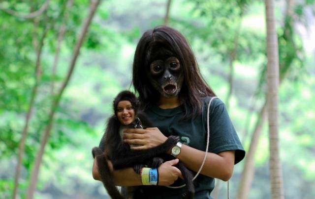 Acid Picdump (91 pics)