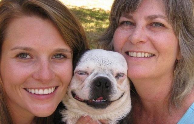 Acid Picdump (91 pics)