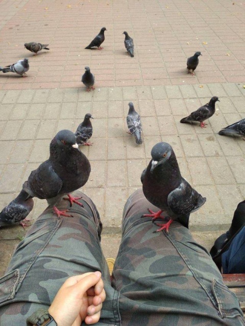Acid Picdump (91 pics)
