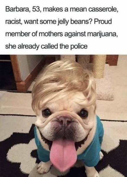 Funny Animals (44 pics)