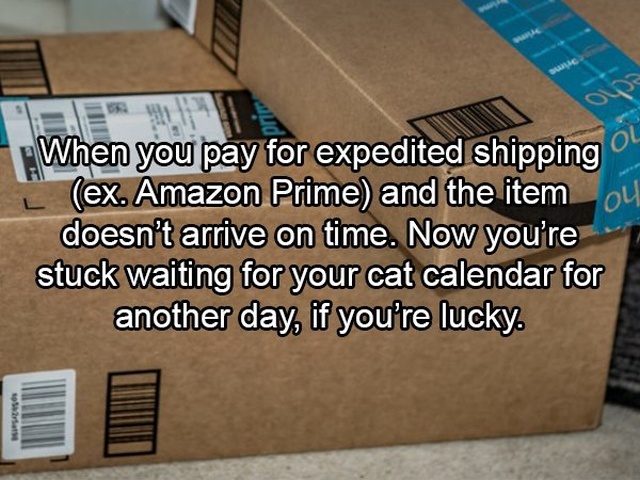 First World Torture (10 pics)