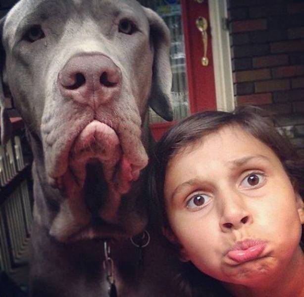 Acid Picdump (102 pics)