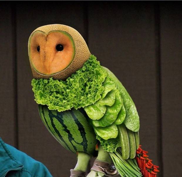 Acid Picdump (102 pics)