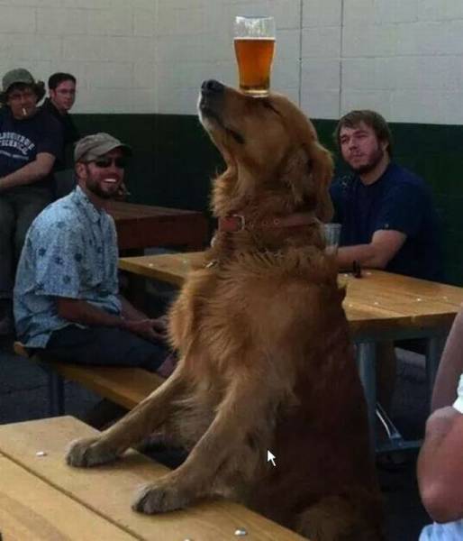 Acid Picdump (102 pics)