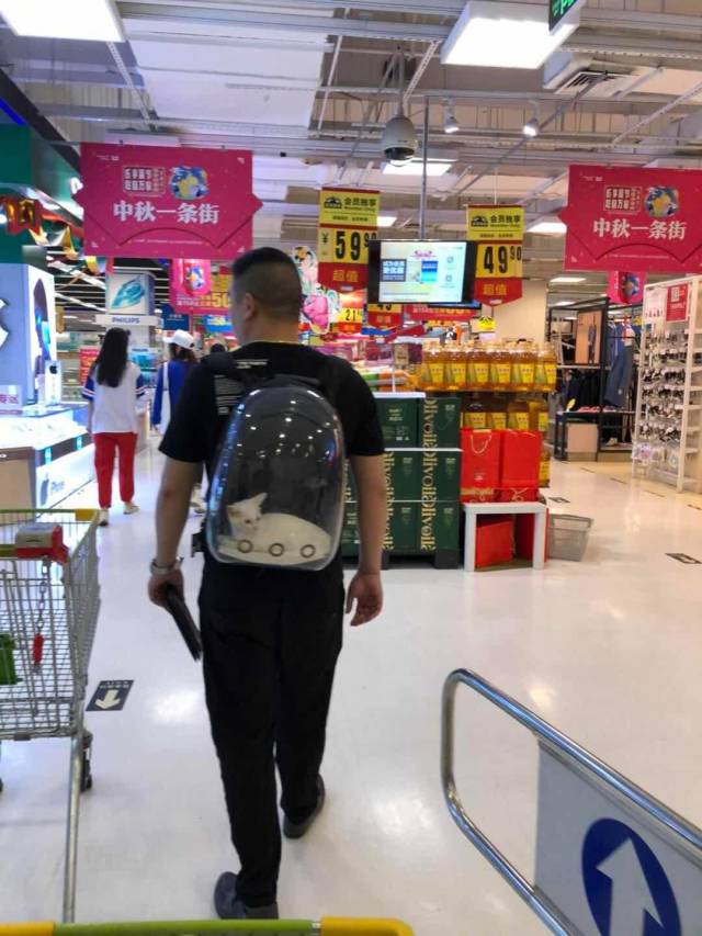 Acid Picdump (102 pics)