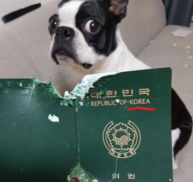 Sh*t Happens (39 pics)