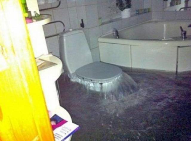Sh*t Happens (39 pics)