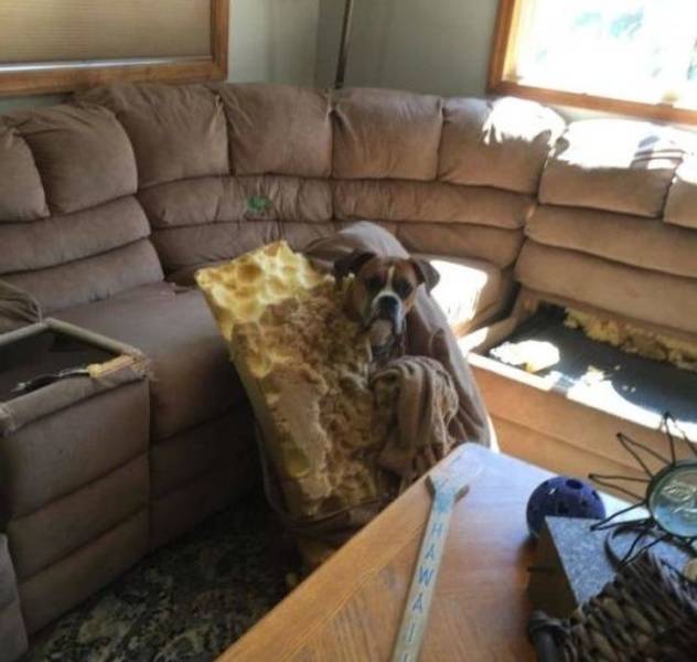 Sh*t Happens (39 pics)