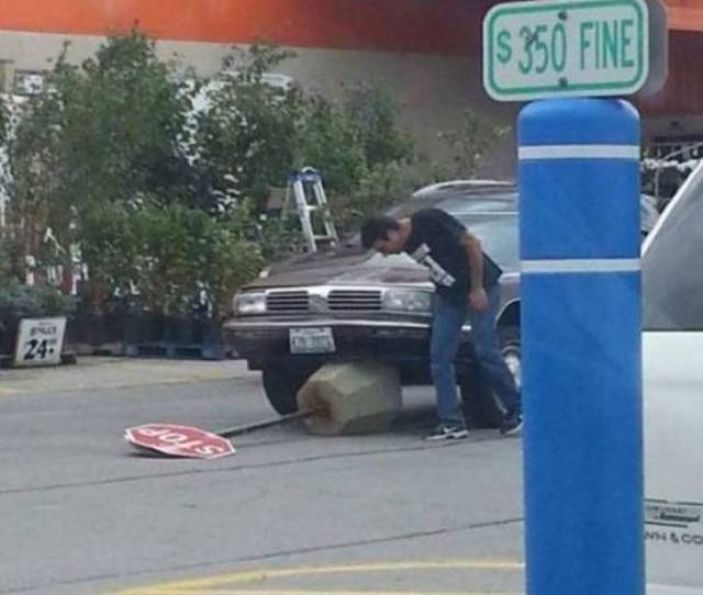 Sh*t Happens (39 pics)