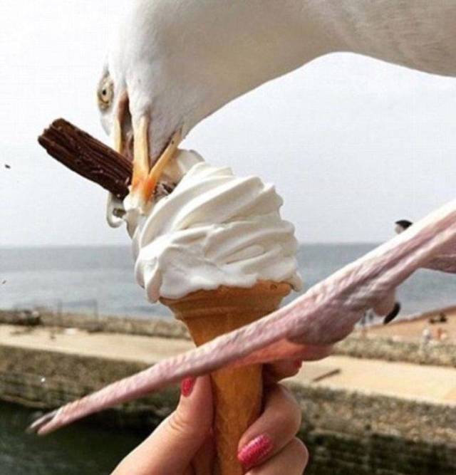 Sh*t Happens (39 pics)