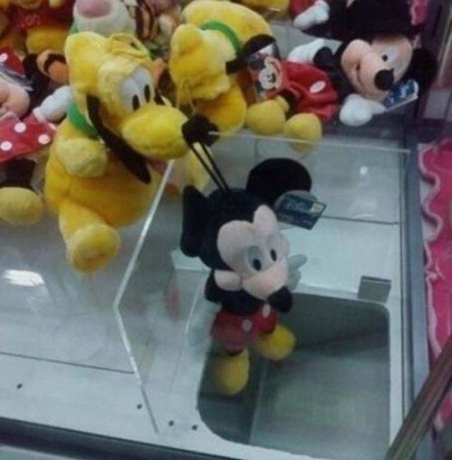 Sh*t Happens (39 pics)