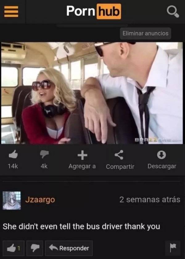Unbelievable Pornhub Comments (20 pics)