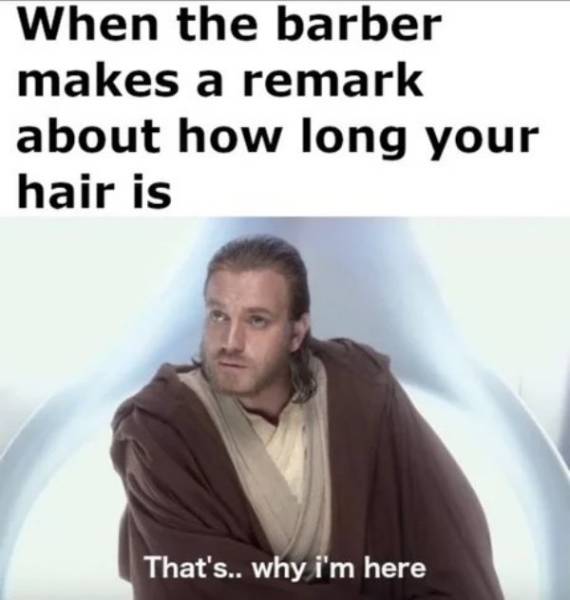 So True (55 pics)