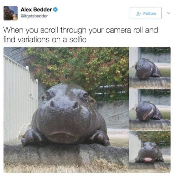 So True (55 pics)
