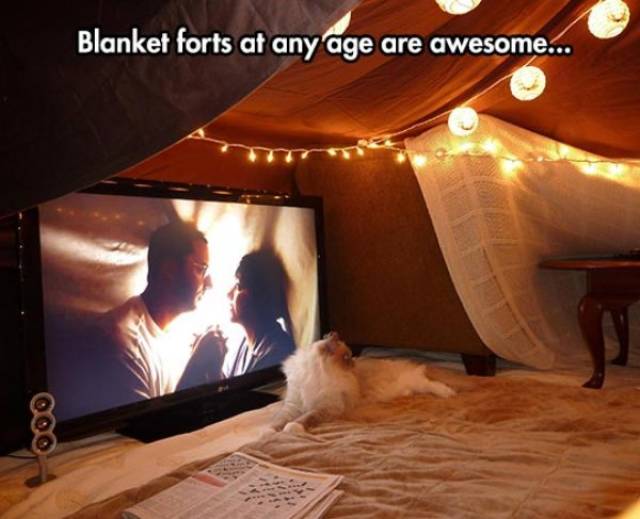 So True (55 pics)