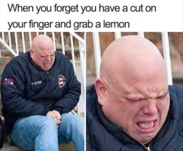 So True (55 pics)