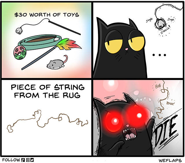So True (55 pics)
