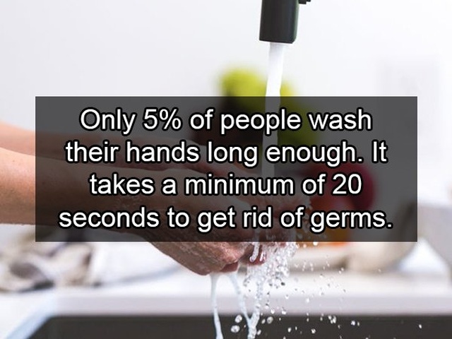 Facts About Germs (19 pics)