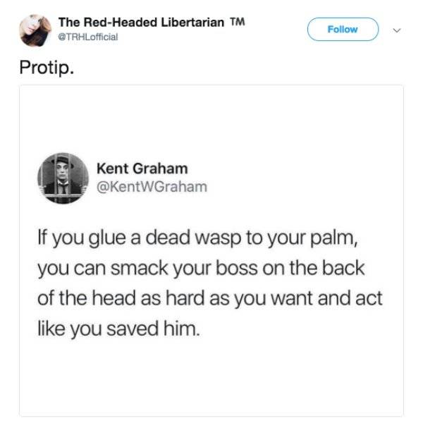 Interesting Tips (21 pics)