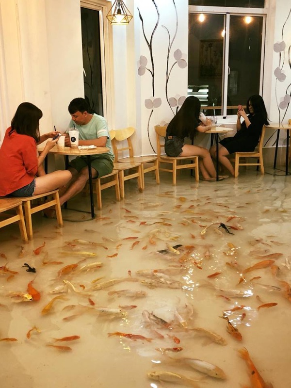 Very Unusual Restaurant in Vietnam (7 pics)