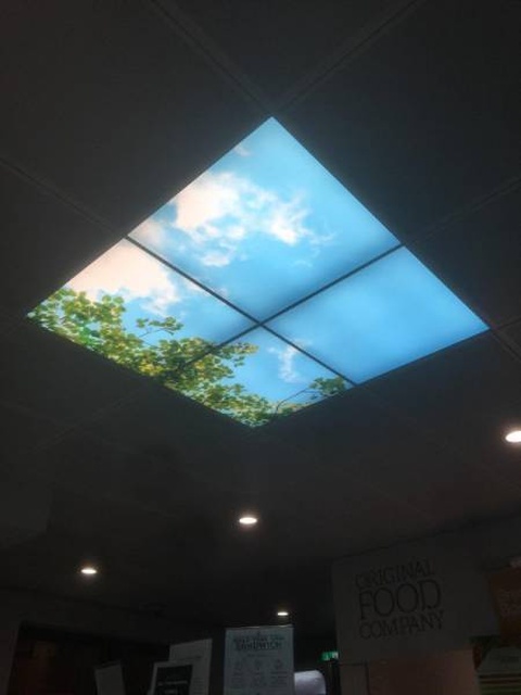 This Is Awesome (33 pics)