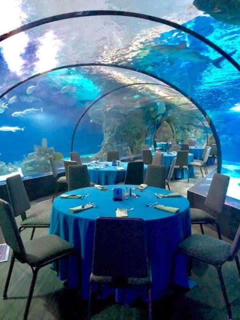 This Is Awesome (33 pics)