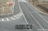 Close Calls (25 gifs)