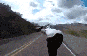 Close Calls (25 gifs)