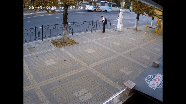 Close Calls (25 gifs)