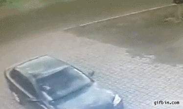 Close Calls (25 gifs)